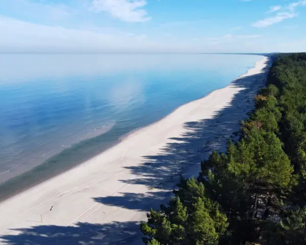 Spokojne morze i piaszczysta plaża na mierzei wiślanej, otoczone gęstym lasem sosnowym.