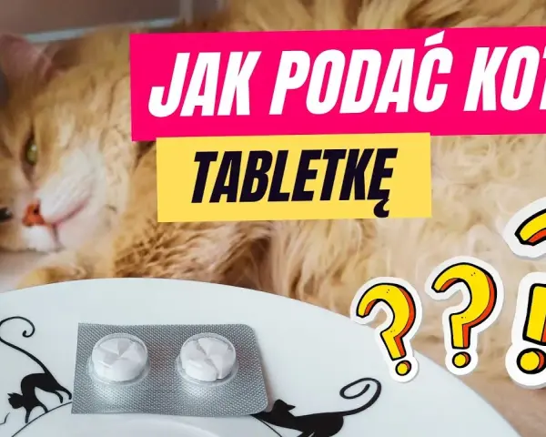 Jak podać kotu tabletkę na odrobaczanie bez stresu i problemów