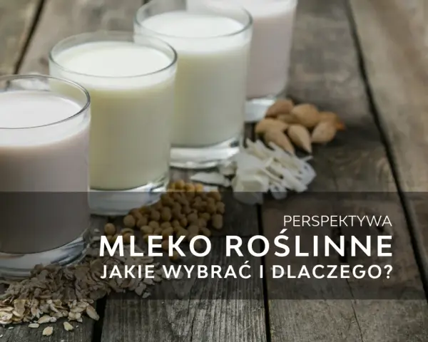 Co to jest mleko roślinne? Poznaj zdrowe alternatywy dla mleka krowiego