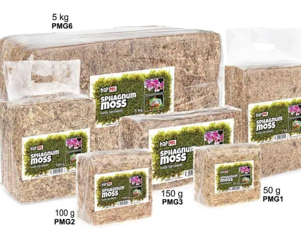 Różne opakowania mchu sphagnum. Dowiedz się, jak używać mech sphagnum do storczyków i terrarium.
