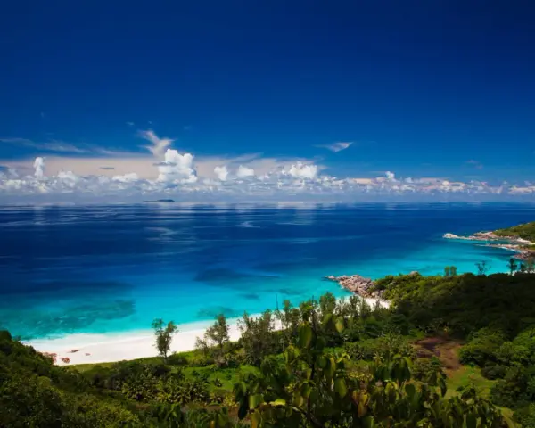 Zanzibar jaki ocean? Błękitne wody Oceanu Indyjskiego oblewają rajską plażę z białym piaskiem, otoczoną bujną zielenią.