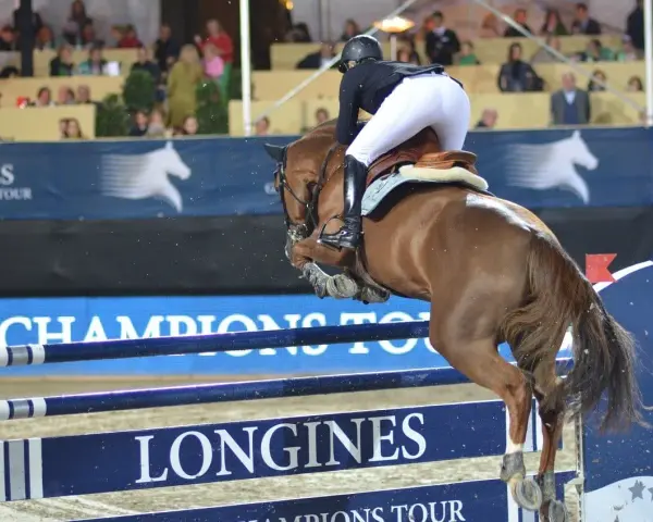 Un cavalier pro et son cheval brun franchissent un obstacle lors d'une compétition d'équitation.