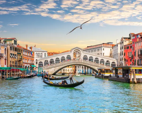 Gondole scivolano sui **canaletti di Venezia**, sotto il Ponte di Rialto, con edifici colorati e un gabbiano in volo.
