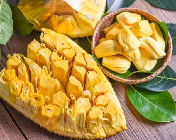 Chlebowiec właściwości: soczyste, żółte segmenty owocu jackfruit, częściowo wyjęte z łupiny i ułożone w koszyku, otoczone zielonymi liśćmi.