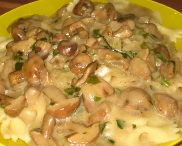 Makaron farfalle z kremowym sosem z maślaków i posiekaną natką pietruszki na żółtym talerzu.
