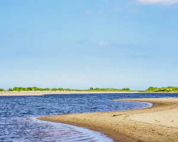 Szeroka, piaszczysta plaża i spokojne wody w miejscu, gdzie Wisła wpada do morza. Zielone zarośla na horyzoncie.