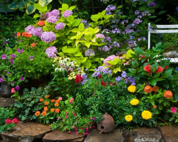 Jardín vibrante con **plantas de exterior resistentes** en tonos rosas, naranjas y morados. Una silla blanca y una regadera antigua añaden encanto.