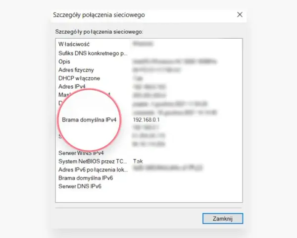 Szczegóły połączenia sieciowego: Brama domyślna IPv4 to adres IP routera 192.168.0.1.
