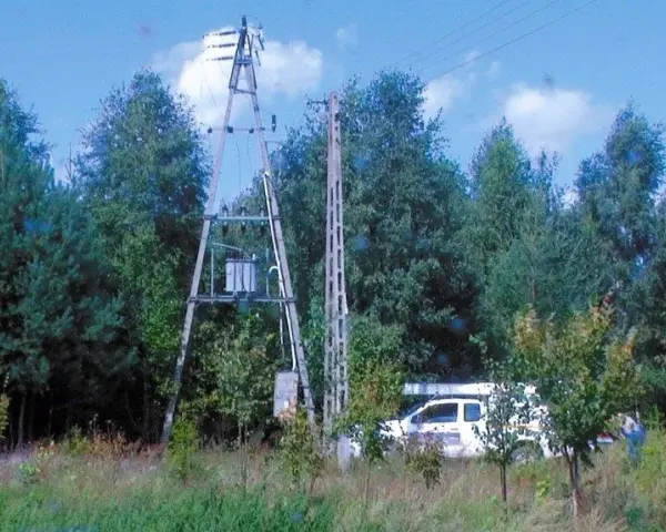 PGE wycinka drzew gdzie zgłosić - uniknij problemów z pozwoleniem