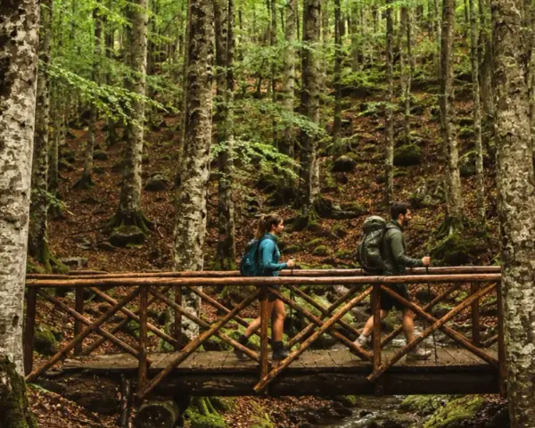 Co fare sul Monte Amiata: escursionisti attraversano un ponte di legno in un bosco di faggi.