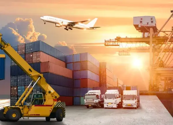 Logistyka co po studiach: Jak uniknąć pułapek na rynku pracy?