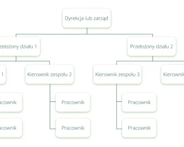Schemat przedstawia strukturę organizacyjną firmy: Dyrekcja, Przełożeni działów, Kierownicy zespołów i Pracownicy.