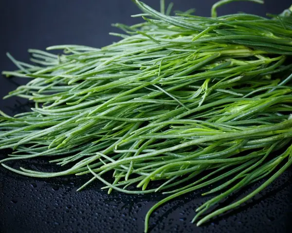 Un fascio di agretti freschi, pronti per essere cucinati, simbolo della loro stagione.