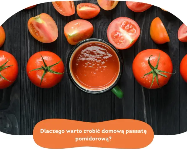 Świeże pomidory i miseczka domowej passaty pomidorowej. Poznaj przepis na najlepszą passatę!