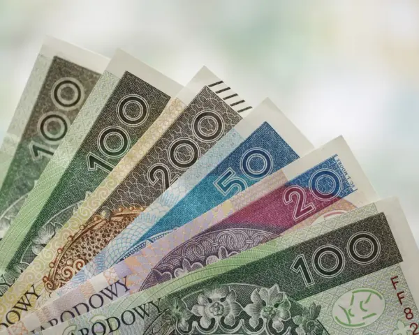 Różne nominały polskich banknotów ułożone wachlarzowo. Zastanawiasz się, ile wynosi świadczenie pielęgnacyjne?