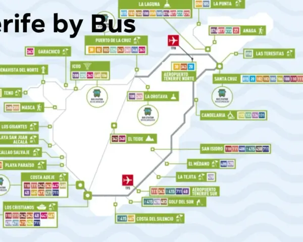 Mapa komunikacji miejskiej Teneryfy. Zobacz, jak łatwo podróżować po wyspie autobusami, odkrywając jej uroki.
