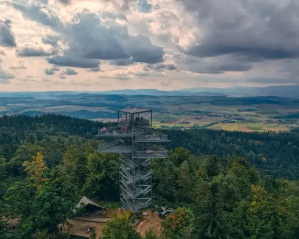 Nowoczesna trójgarb wieża widokowa góruje nad lasem, oferując zapierający dech w piersiach widok na pagórkowaty krajobraz.