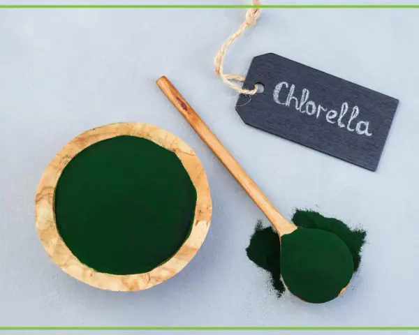 Chlorella w proszku w drewnianej miseczce i na łyżce. Tabliczka z napisem "Chlorella" podpowiada, jak stosować ten zielony proszek.