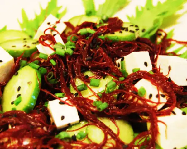 Salade fraîche avec des cubes de tofu, des rondelles de concombre, des oignons verts et une généreuse portion d'algue rouge séchée.