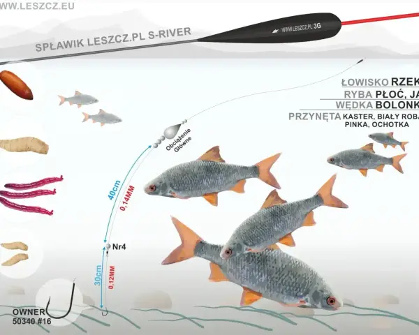 Jaki spławik na rzekę? Ilustracja pokazuje zestaw do połowu płoci i jaź na bolonkę, z przynętami: kaster, biały robak, pinka, ochotka.