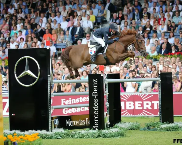 Un cavalier français saute un obstacle, dans le cadre du classement des meilleurs cavaliers français CSO.
