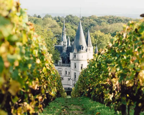 Un château majestueux se dévoile entre les vignes, invitant à visiter Reims à pied.