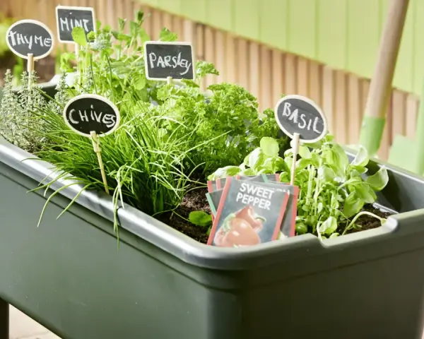 Un **orto facile** con erbe aromatiche: basilico, prezzemolo, erba cipollina, menta e timo. Piccoli cartelli indicano le piante.