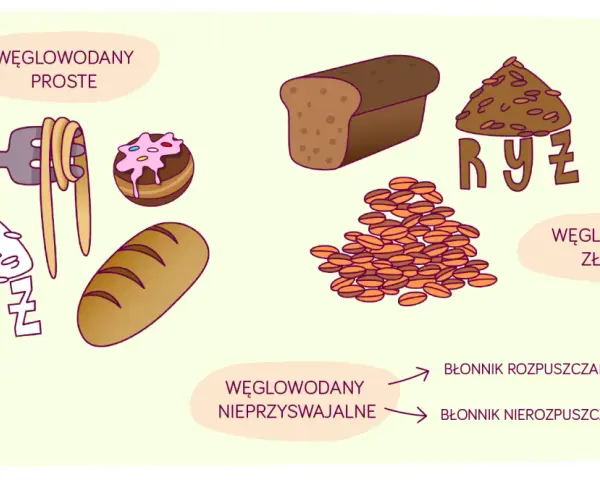 Ilustracja pokazuje węglowodany proste (makaron, ciastko) i złożone (chleb, ryż). Wskazuje też na błonnik nierozpuszczalny.