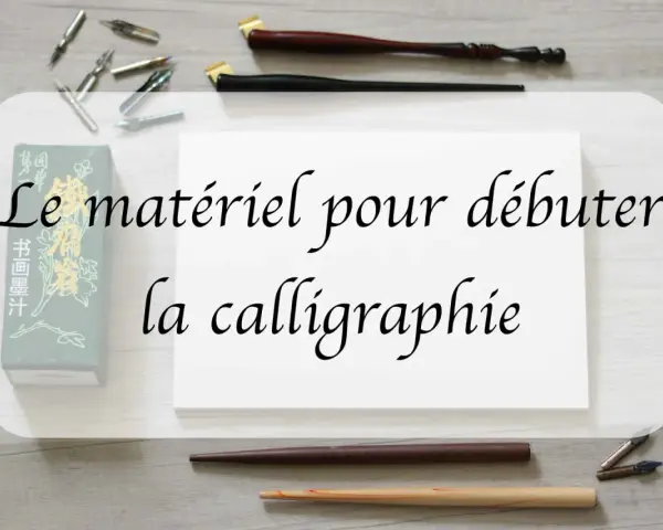 Un ensemble d'outils de calligraphie, incluant des plumes, des porte-plumes et une boîte d'encre, prêt pour une nouvelle œuvre.