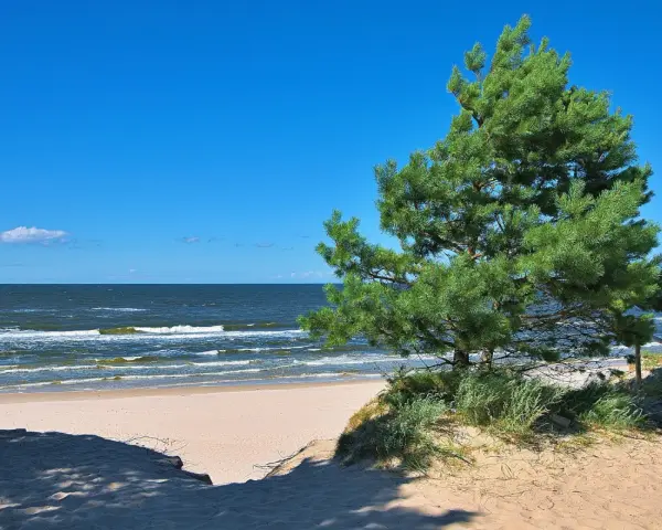 Szczecin Kołobrzeg: Ile km? Szybko i tanio nad morze!