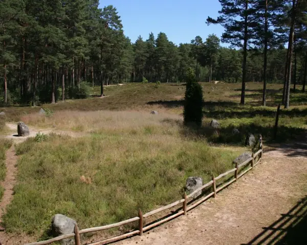 Kamienne kręgi, niczym polskie Stonehenge, otoczone lasem i wrzosowiskiem.