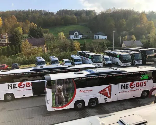Neobus czy można kupić bilet u kierowcy? Sprawdź, jak to zrobić