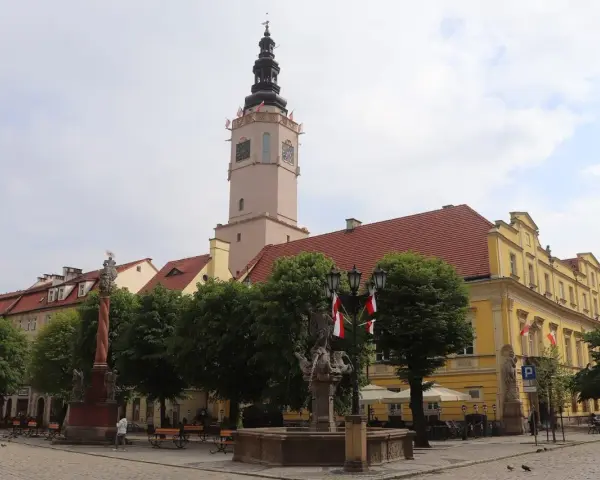 Wieża ratuszowa w Świdnicy góruje nad rynkiem, ozdobiona polskimi flagami. Obok fontanna i zabytkowe kamienice.