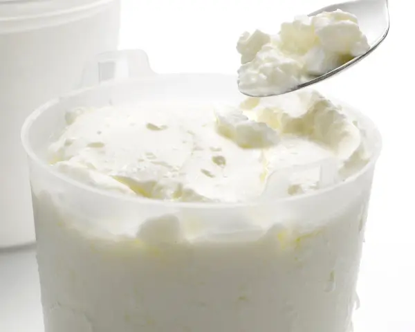 Cuillère de fromage blanc crémeux, prêt à être dégusté. La différence faisselle et fromage blanc réside dans leur texture.