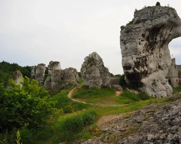 Skały wapienne na wyżynie krakowsko-częstochowskiej, z ruinami zamku w tle.