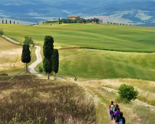 Un sentiero serpeggia tra dolci colline verdi nel Val d'Orcia provincia, con cipressi e una casa colonica in lontananza.