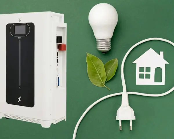 Nowoczesny magazyn energii bez fotowoltaiki, żarówka, liście i symbol domu.