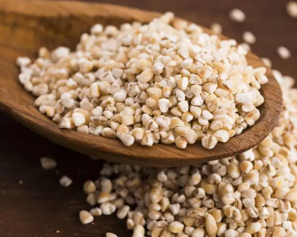 Kasza jęczmienna na drewnianej łyżce. Czy kasza jęczmienna ma gluten? Tak, jęczmień zawiera gluten.