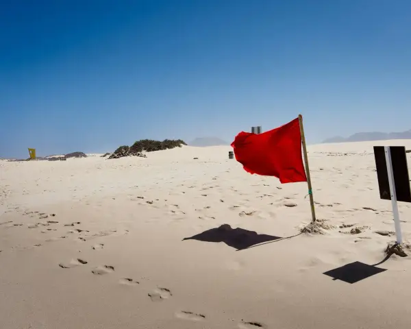 Czerwone flagi na plaży ostrzegają przed niebezpieczeństwem. Wiatr rozwiewa materiał, tworząc dynamiczny obraz na tle błękitnego nieba i piaszczystego krajobrazu.