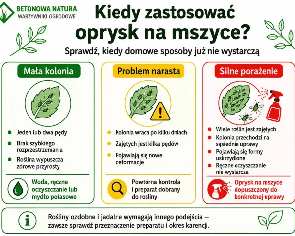 Kiedy domowe sposoby na mszyce zawodzą? Infografika pokazuje, jak rozpoznać małą kolonię, problem narastający i silne porażenie, sugerując odpowiednie metody walki.