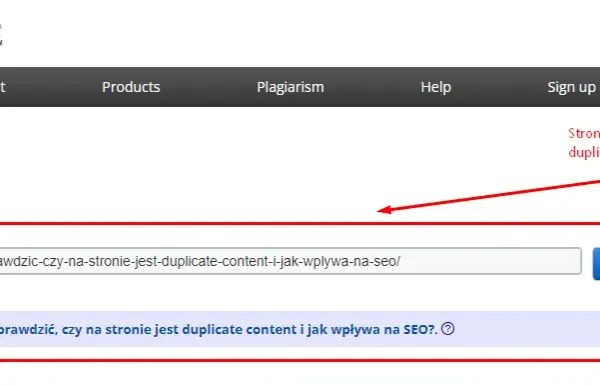 Duplicate content: Jak wykryć i wyeliminować? Pełen poradnik.