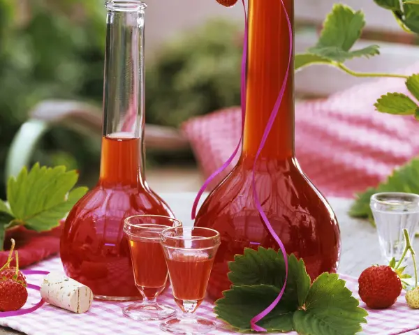 Zwei Flaschen mit rot-orangem Likör, umgeben von Erdbeeren und Blättern. Perfekt, um Erdbeerschnaps selber machen.