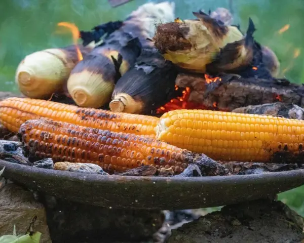 Kukurydza pieczona na ogniu. Zastanawiasz się, ile gotować kukurydzę, by była idealna? Ta wygląda na gotową!