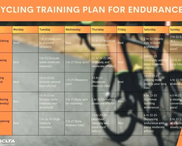 A 12 week cycling training plan for endurance, detailing weekly workouts from establishing base to sharpening phase.