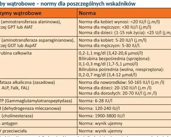 Tabela z normami badań wątrobowych: ALT, AST, bilirubina, GGTP, LDH, ChE, HBs, HCV. Co to za badanie?