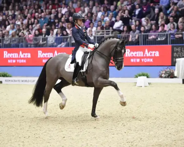 Un cavalier et son cheval Valegro, mort de beauté, exécutent une figure d'équitation devant une foule.