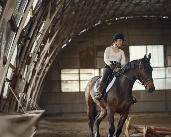 Une cavalière en tenue d'équitation monte un cheval brun dans un manège couvert. Le cheval est au trot, prêt pour une séance de demi pension cheval.