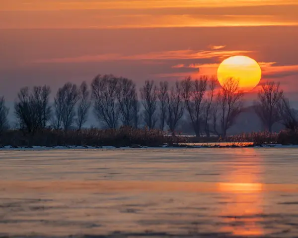 Zachód słońca nad zamarzniętym jeziorem. Piękna fotografia krajobrazowa z pomarańczowym niebem i sylwetkami drzew.