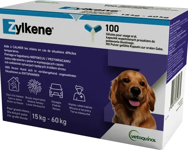 Najlepsze leki na uspokojenie dla psa - naturalne i farmaceutyczne opcje