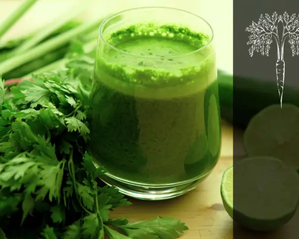 Grönt juiceglas med persilja och lime. Perfekt för dig som vill testa fasta varannan dag och ge kroppen en hälsokick.